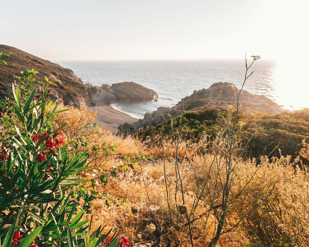 Ikaria